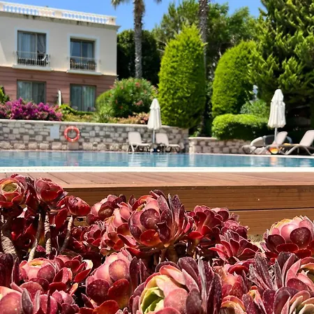 Otel Antmare Alaçatı