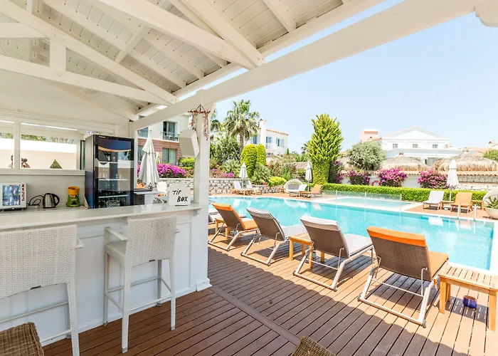 Antmare אלאקאטי