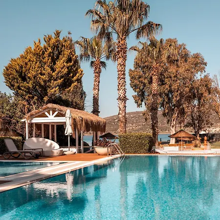 アントマーレ 3*