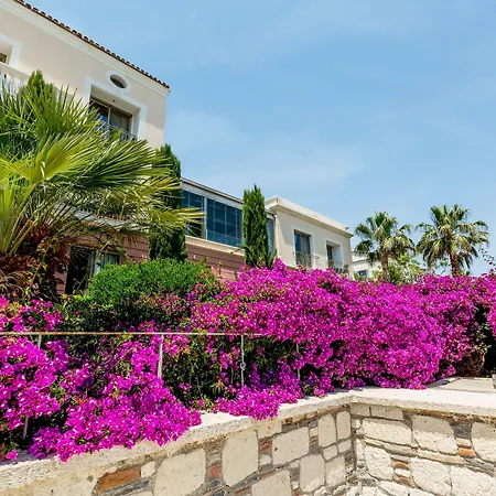 Antmare Alacati