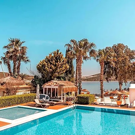 Antmare Hotell 3*
