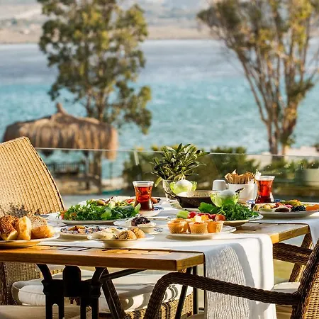 Antmare Alacati